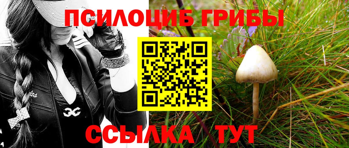 Полевской  Галлюциногенные грибы прущие грибы  Вход с VPN 